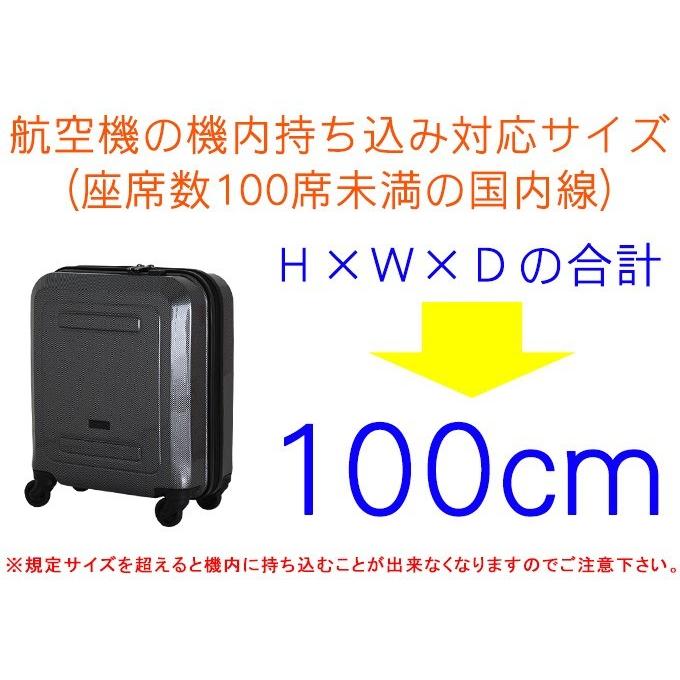 GREEN WORKS スーツケース LCC対応サイズ コインロッカー対応サイズ S