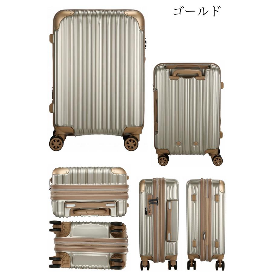 トライデント 抗菌 スーツケース Lサイズ 7泊〜長期用 ジッパータイプ