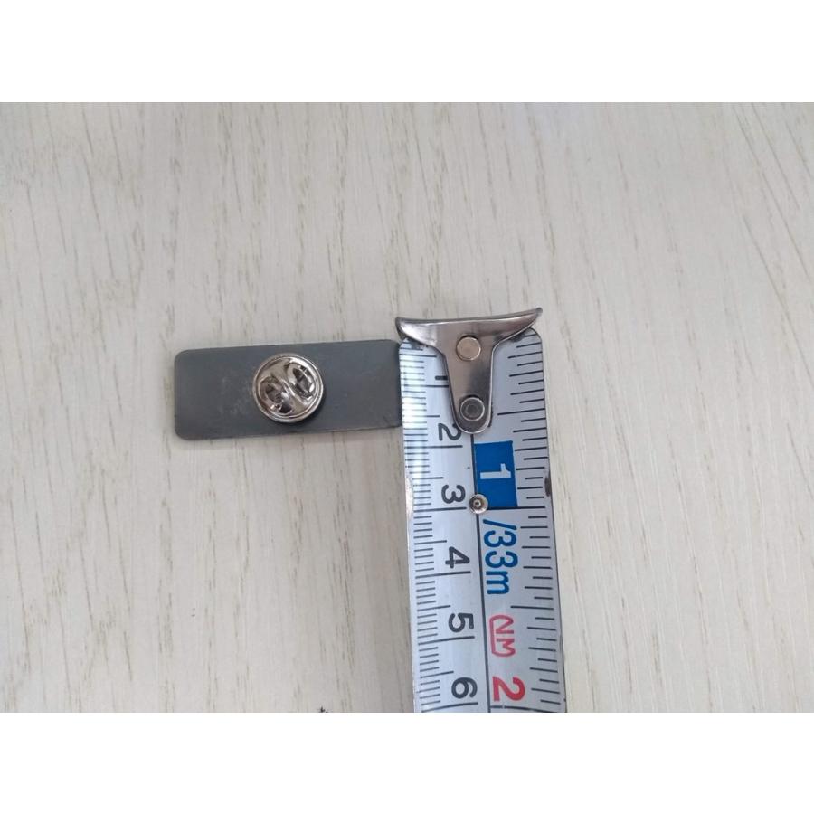 エボリューション　ピンバッジ |  | 01