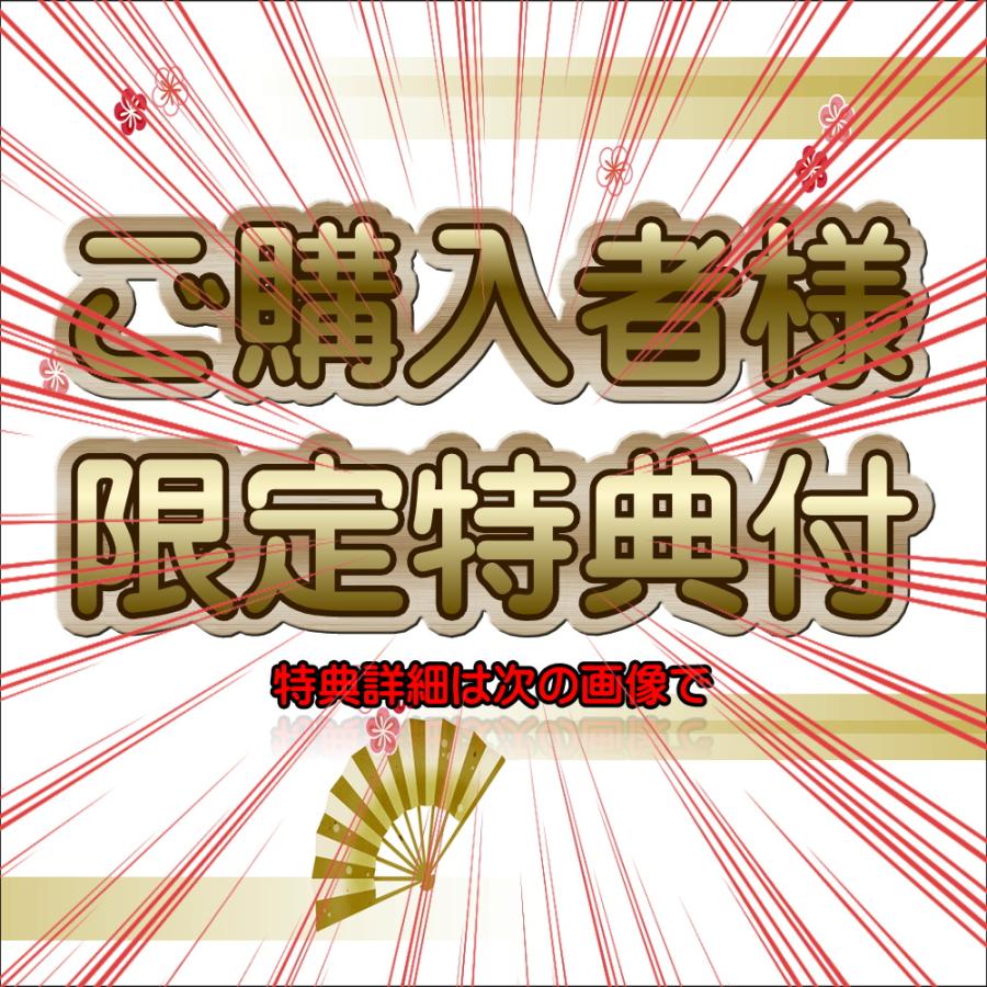 保証付き！　SVHSビデオデッキ　7B-BS710　日立　プロの技術者整備済みの安心の1台　大切な想い出の再生・ダビングに | 日立 | 06
