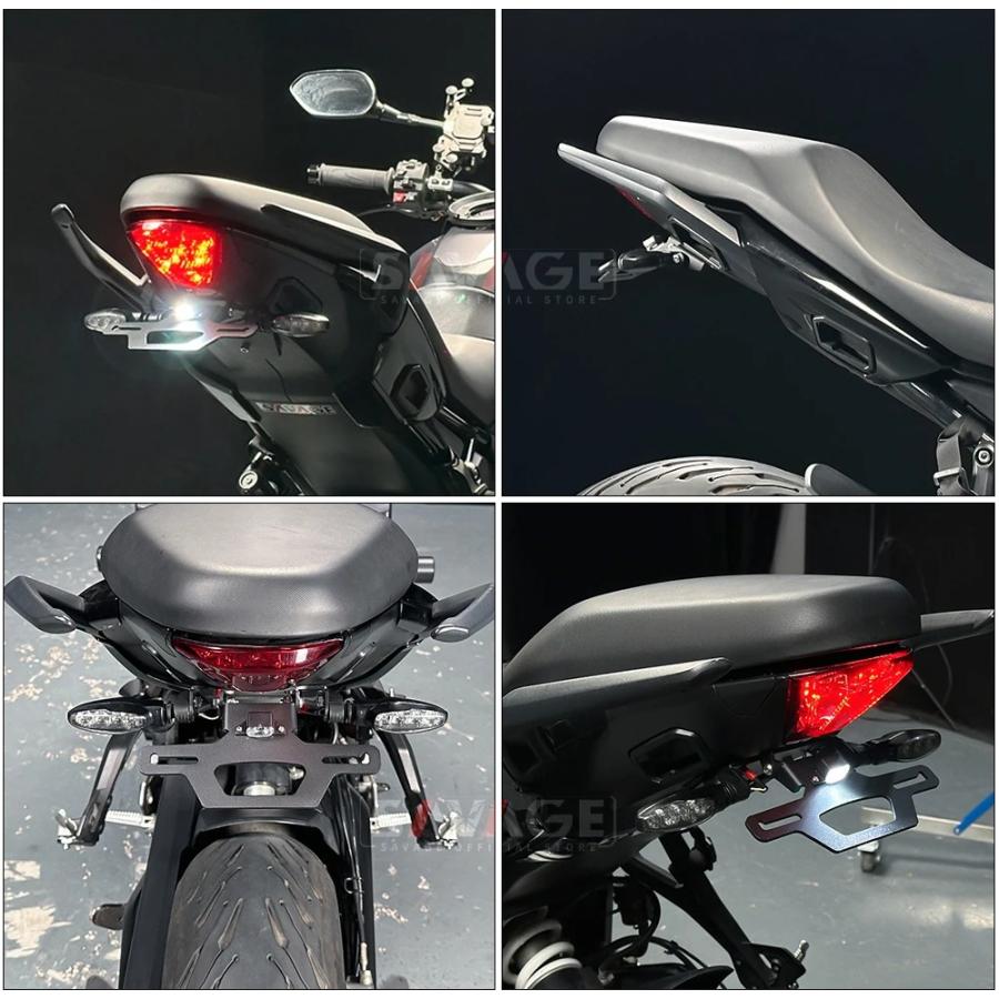 Triumph Tiger Sports 660 800 タイガースポーツ フェンダーレスキット