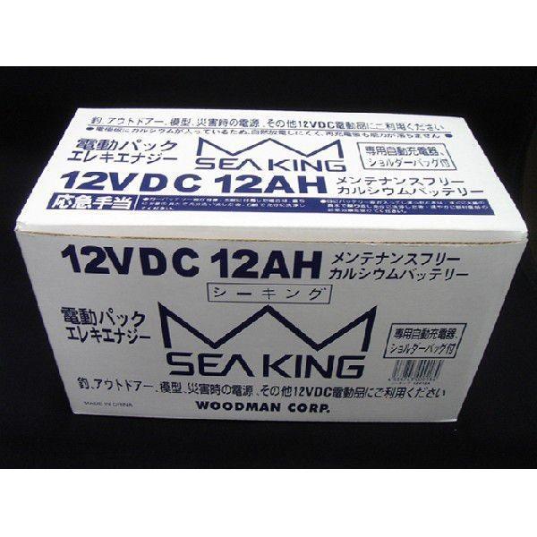 SEAKING（シーキング）電動リール用バッテリー12V12A 【バッテリー