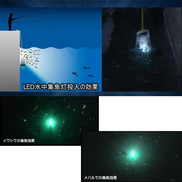 Hapyson（ハピソン）乾電池式LED 水中集魚灯 30ｍ防水 ロープ付/YF-500 【集魚灯】｜aarck-yast｜02