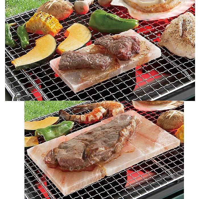 LOGOS（ロゴス） 岩塩プレート / 81065990 【BBQアクセサリー】【天然