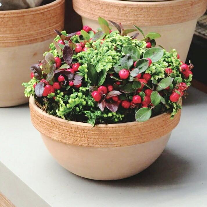 植木鉢 おしゃれ テラコッタ スクラッチジオボールS(2色)＜ 20cm 6号