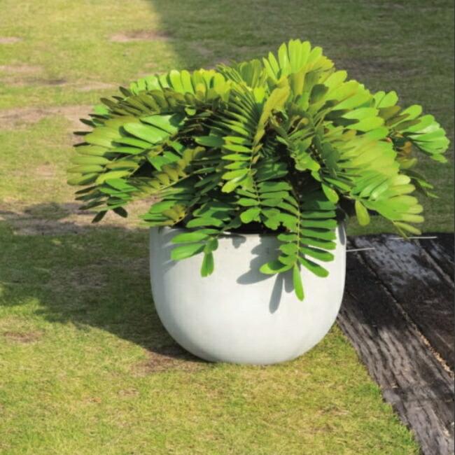植木鉢 おしゃれ 大型 デッカーボウルS(3色) 38cm 12.5号 セメント