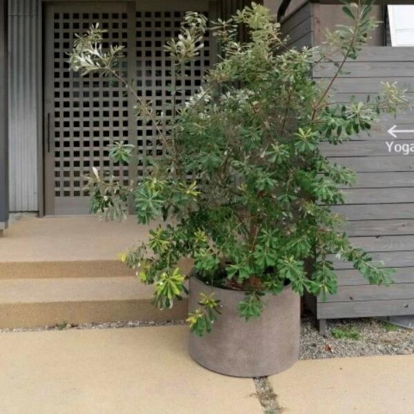 植木鉢 おしゃれ 軽い グラナイトローシリンダーL 80cm 26.5号 FRP 浅