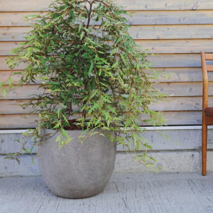植木鉢 おしゃれ 軽い グラナイトエッグS 36cm 12号 FRP プラスチック