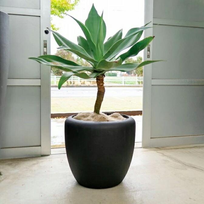 植木鉢 おしゃれ 軽い カンサラS(2色) 32cm 10.5号 プラスチック