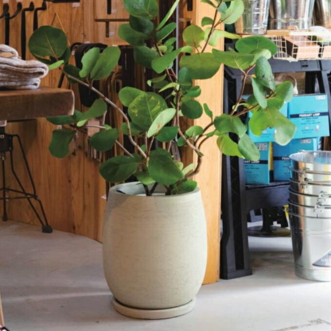 植木鉢 おしゃれ カイトバルーンS(2色) 24cm 8号 テラコッタ 素焼き