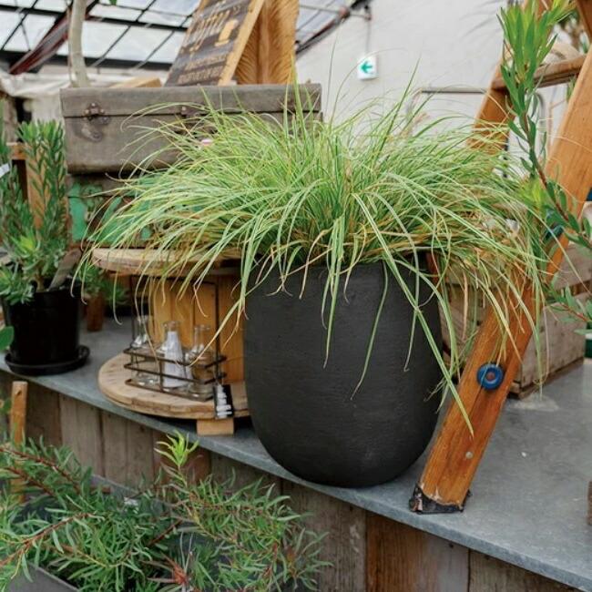 植木鉢 おしゃれ カイトバルーンS(2色) 24cm 8号 テラコッタ 素焼き