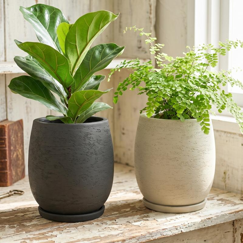 植木鉢 おしゃれ カイトバルーンS(2色) 24cm 8号 テラコッタ 素焼き
