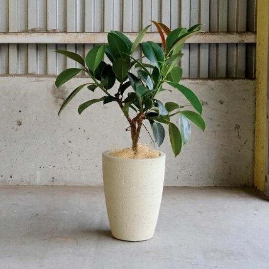 植木鉢 おしゃれ カイトコニックS 20cm 6.5号 底穴あり 黒 テラコッタ
