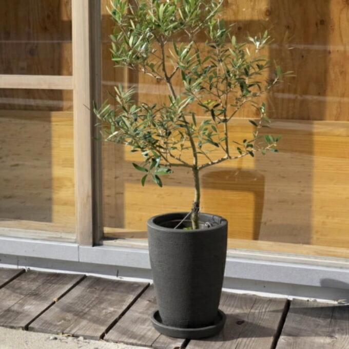 植木鉢 おしゃれ カイトコニックL 25cm 8号 底穴あり 黒 テラコッタ