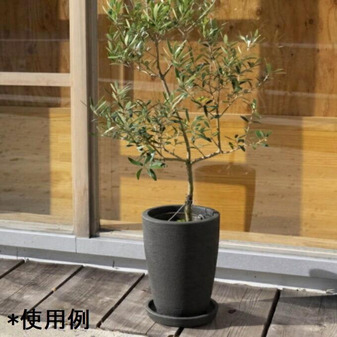 受け皿 おしゃれ 植木鉢 カイトソーサーL 25cm 8号 テラコッタ トレー