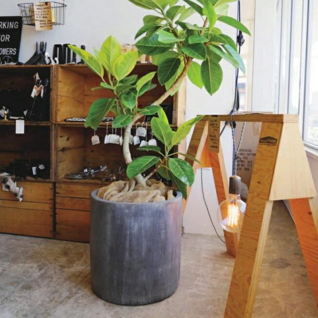 植木鉢 おしゃれ アンティーク テラコッタ レイニーシリンダーS