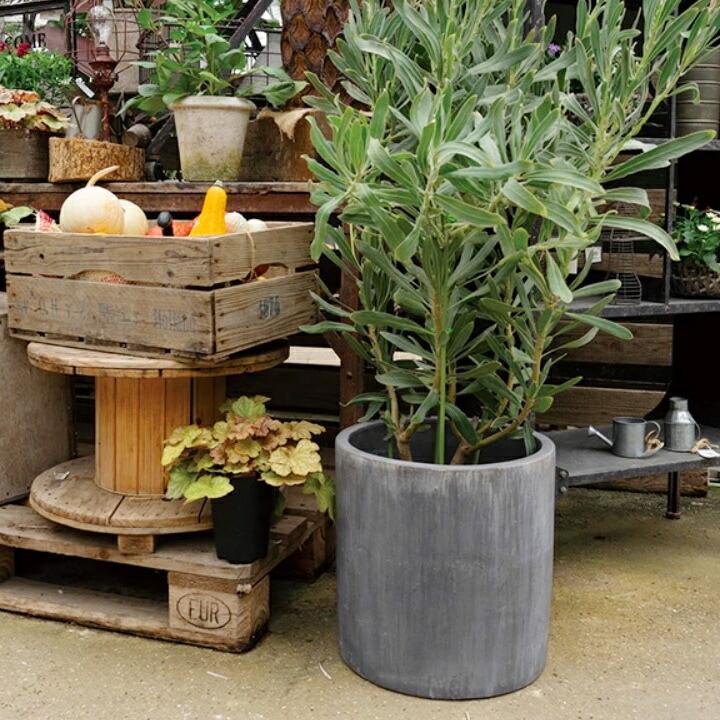 植木鉢 おしゃれ アンティーク テラコッタ レイニーシリンダーS 35cm
