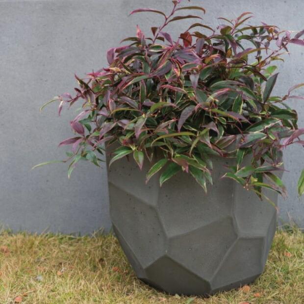 植木鉢 おしゃれ 軽い リッジL 47cm 15.5号 FRP 底穴あり グレー
