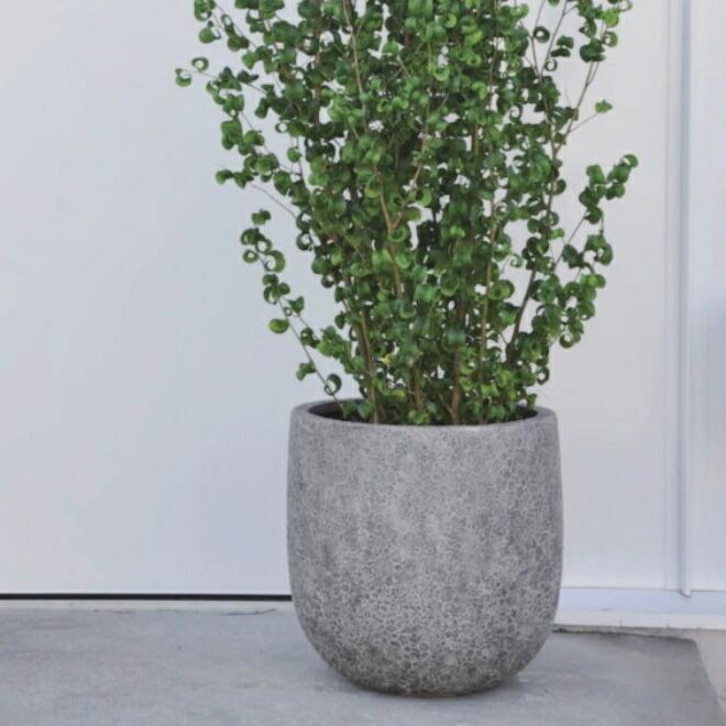 植木鉢 おしゃれ 軽い ラヴァライトUポットL(3色) 55cm 18号 FRP プランター 底穴あり 鉢 室内 屋外 鉢植え 観葉植物 塊根 大型の画像
