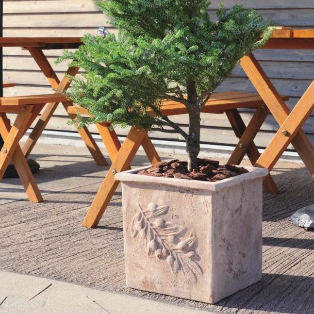 植木鉢 おしゃれ 大型 テラコッタ オリーブ スクエアアンティコL 45cm