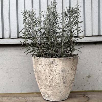 植木鉢 おしゃれ テラコッタ フリットエッグL 30cm 10号 底穴