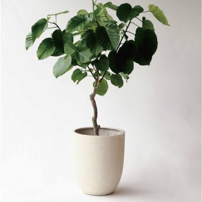 植木鉢 おしゃれ 軽い ビアスアルトエッグS 31cm 10号 ポリストーン