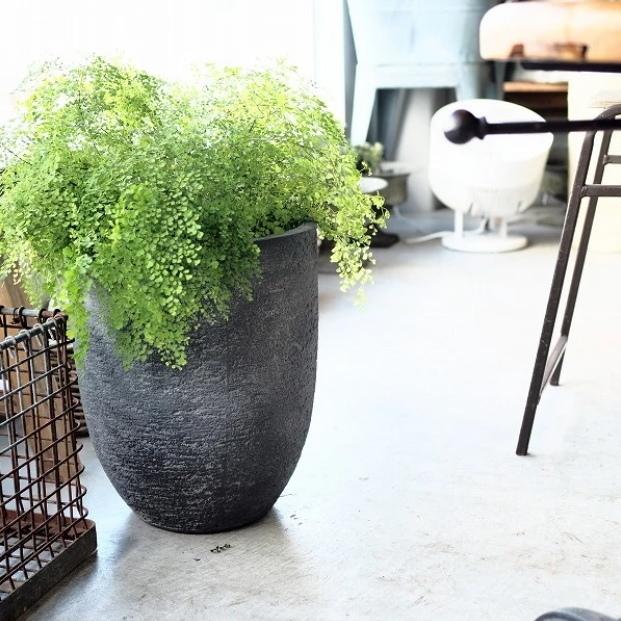 植木鉢 おしゃれ 軽い ビアスアルトエッグs 31cm 10号 ポリストーンライト 大型 プランター 鉢 室内 屋外 鉢植え 観葉植物 多肉植物 塊根 Gp Ebpl おしゃれな植木鉢 プランター専門店アールデ 通販 Yahoo ショッピング