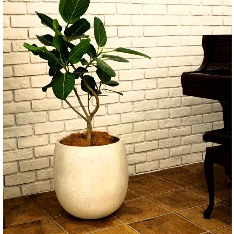 植木鉢 おしゃれ 軽い テラニアスバルーンL 55cm 18号 FRP 軽量 底穴あり プランター 鉢 室内 屋外 鉢植え 観葉植物 多肉植物 塊根の画像
