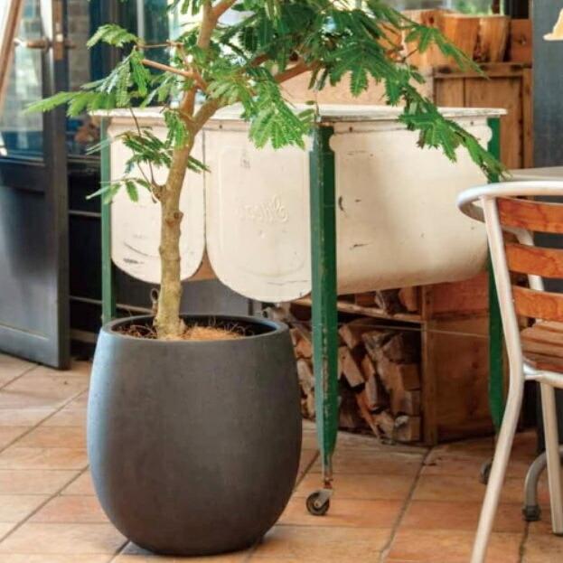 植木鉢 おしゃれ 軽い テラニアスバルーンL 55cm 18号 FRP 軽量 底穴あり プランター 鉢 室内 屋外 鉢植え 観葉植物 多肉植物 塊根の画像