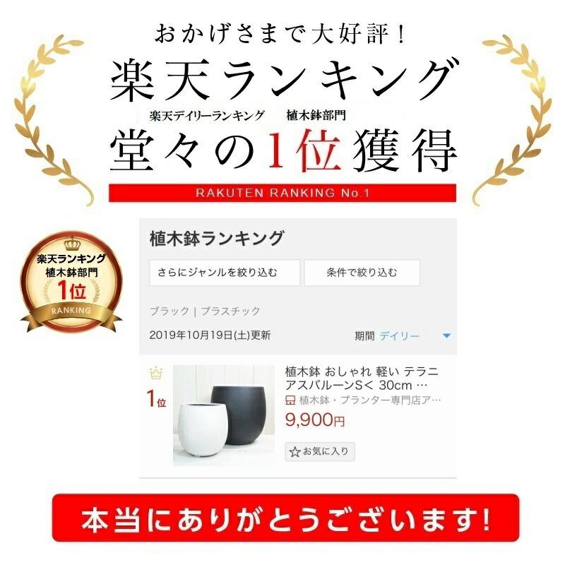 植木鉢 おしゃれ 軽い テラニアスバルーンL 55cm 18号 FRP 軽量 底穴あり プランター 鉢 室内 屋外 鉢植え 観葉植物 多肉植物 塊根の画像