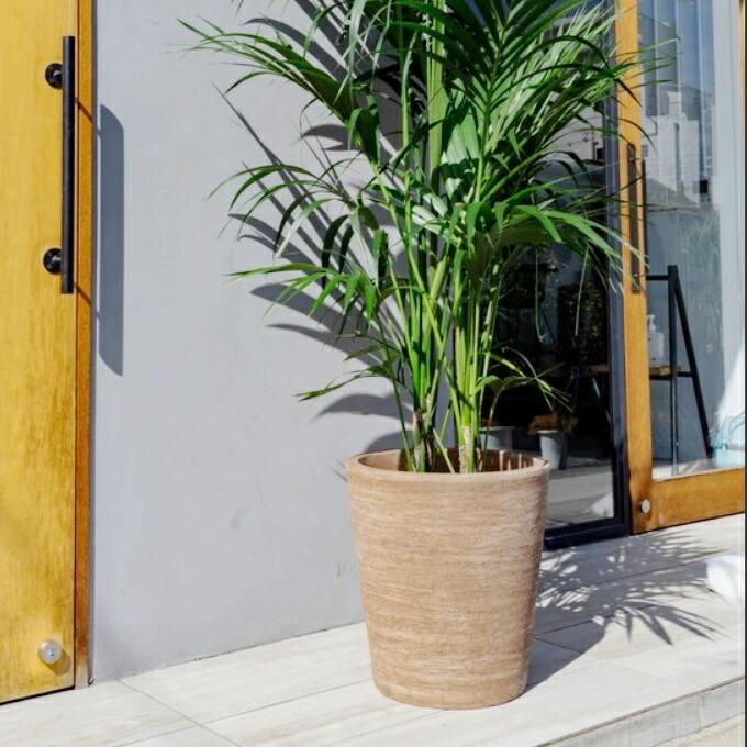 植木鉢 おしゃれ テラコッタ テラサモコニックL＜ 50cm 16号 穴あり ブラウン 素焼き プランター 縦長 深鉢 長鉢 背の高い 大型 かわいい 鉢 室内 屋外 観葉植物の画像