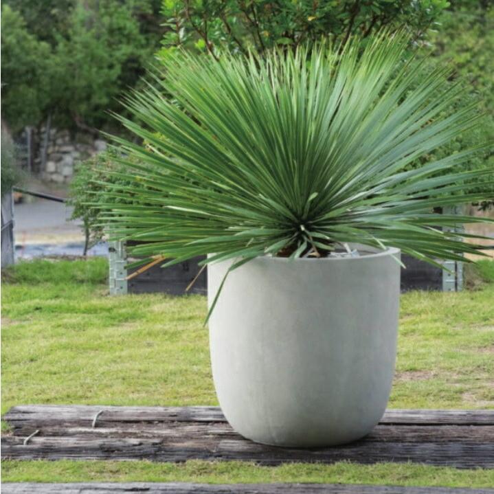 植木鉢 おしゃれ 大型 エイリアスラウンドL(2色) 43cm 14号 白 黒 