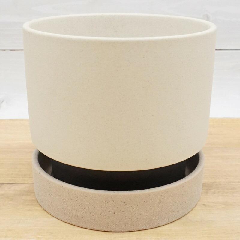 植木鉢 おしゃれ 陶器鉢 パラドックS 18cm 6号 穴あり 受け皿あり ツヤ