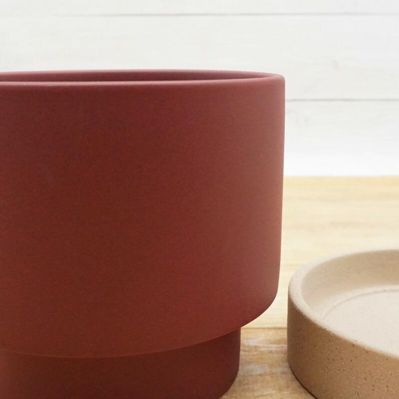 植木鉢 おしゃれ 陶器鉢 パラドックS 18cm 6号 穴あり 受け皿あり ツヤ