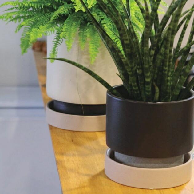 植木鉢 おしゃれ 陶器鉢 パラドックS 18cm 6号 穴あり 受け皿あり ツヤ