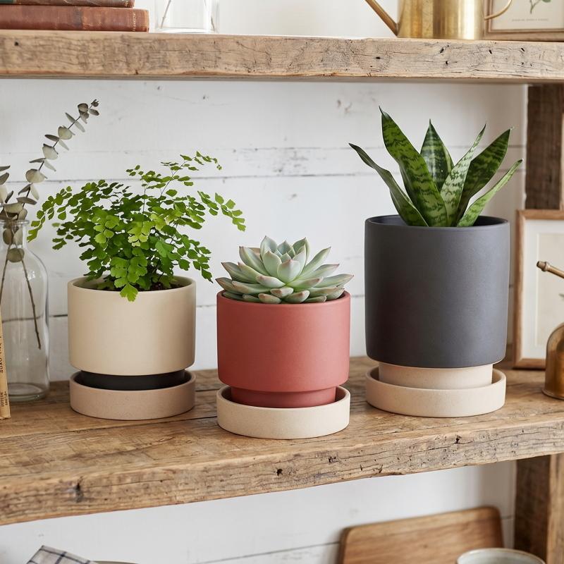 植木鉢 おしゃれ 陶器鉢 パラドックS 18cm 6号 穴あり 受け皿あり ツヤ