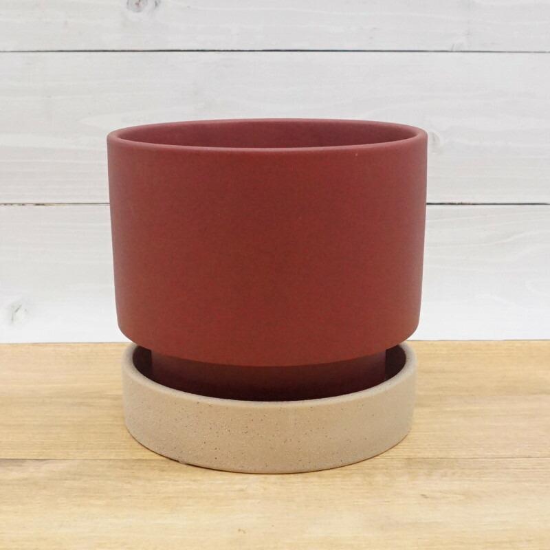 植木鉢 おしゃれ 陶器鉢 パラドックS 18cm 6号 穴あり 受け皿あり ツヤ