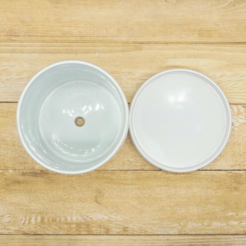 植木鉢 おしゃれ 陶器鉢 ライネルS(2色) 18.5cm 6号 穴あり 受け皿あり