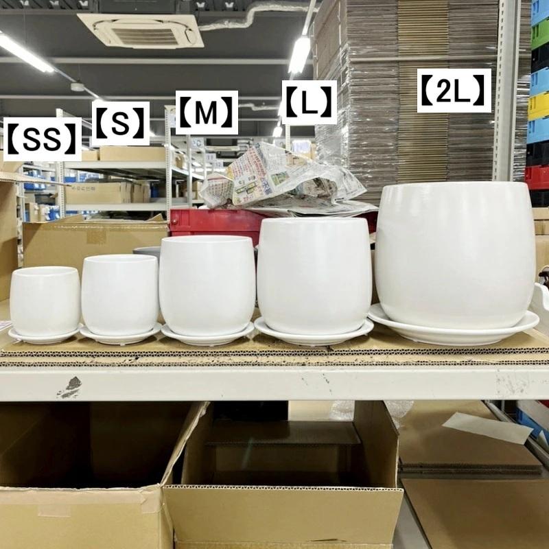 植木鉢 おしゃれ 陶器鉢 オストボールL 20.5cm 7号 穴あり 受け皿あり