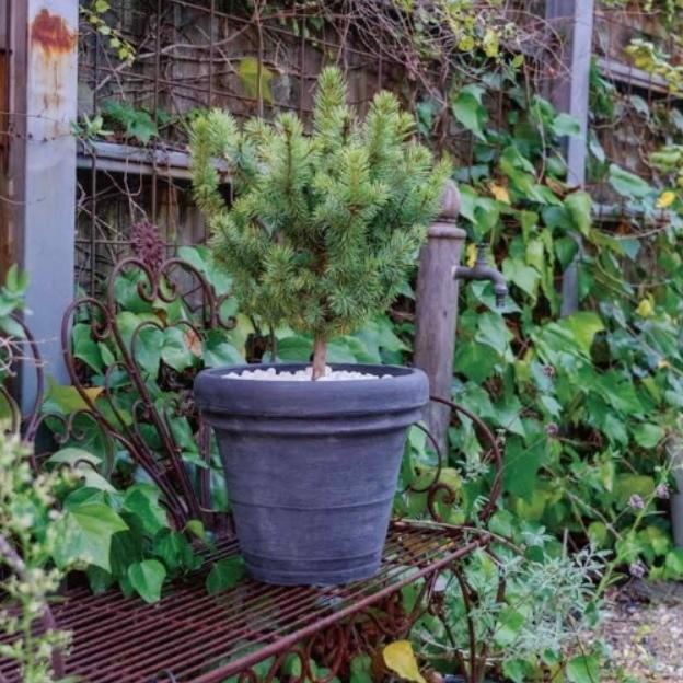 植木鉢 おしゃれ 軽い 大型 ボルドー L(2色) 50cm 16.5号 ポリエチレン