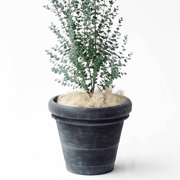 植木鉢 おしゃれ 大型 軽い ボルドー 2L(2色) 60cm 20号 ポリエチレン プランター 鉢 室内 屋外 鉢植え 観葉植物 多肉植物 塊根