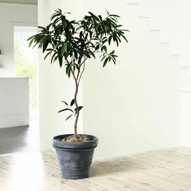 植木鉢 おしゃれ 大型 軽い ボルドー 3L(2色) 85cm 28号 ポリエチレン