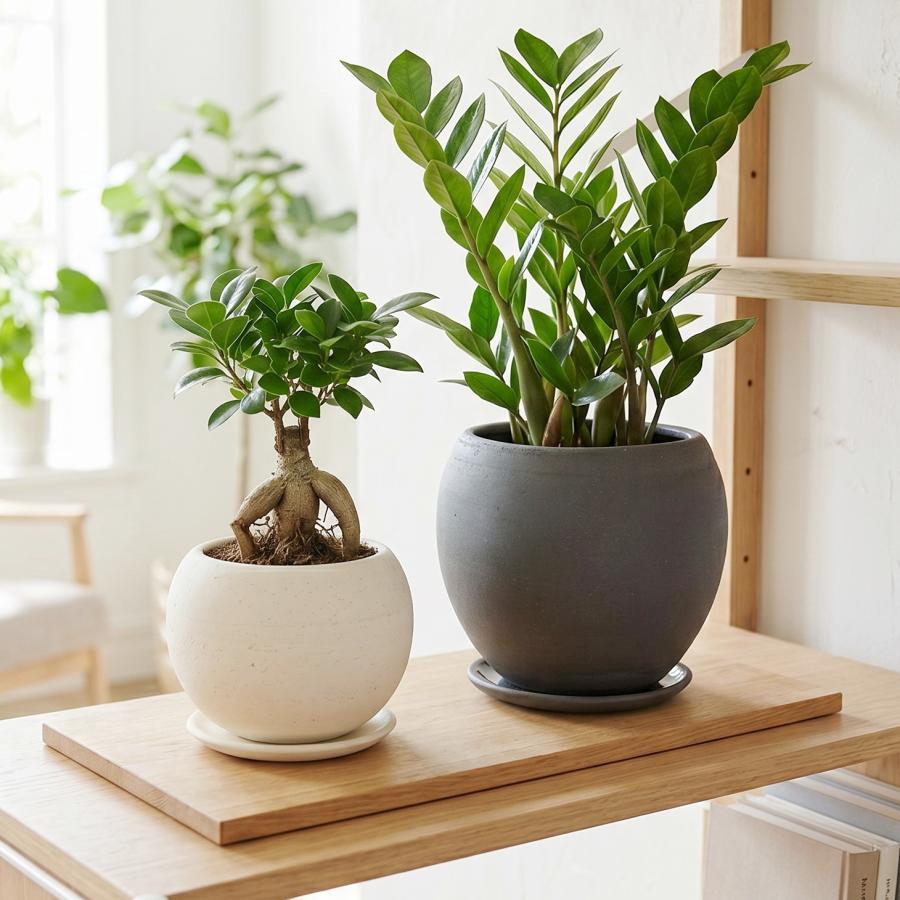 植木鉢 おしゃれ 陶器鉢 エッジボールS(2色) 14cm 4.5号 受け皿付