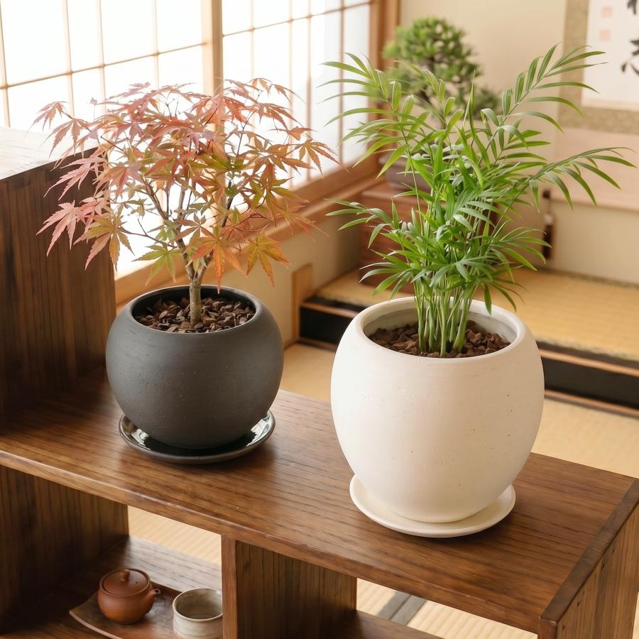 植木鉢 おしゃれ 陶器鉢 エッジボールS(2色) 14cm 4.5号 受け皿付