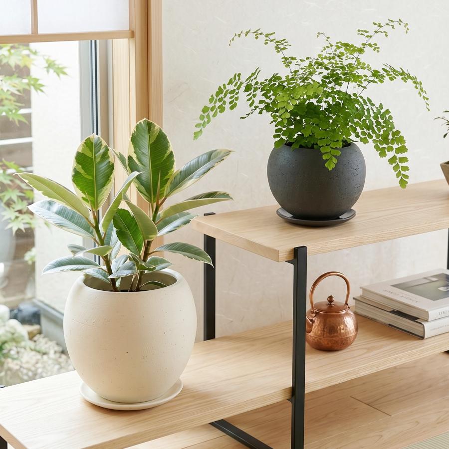 植木鉢 おしゃれ 陶器鉢 エッジボールL(2色) 16cm 5号 受け皿付 白 黒