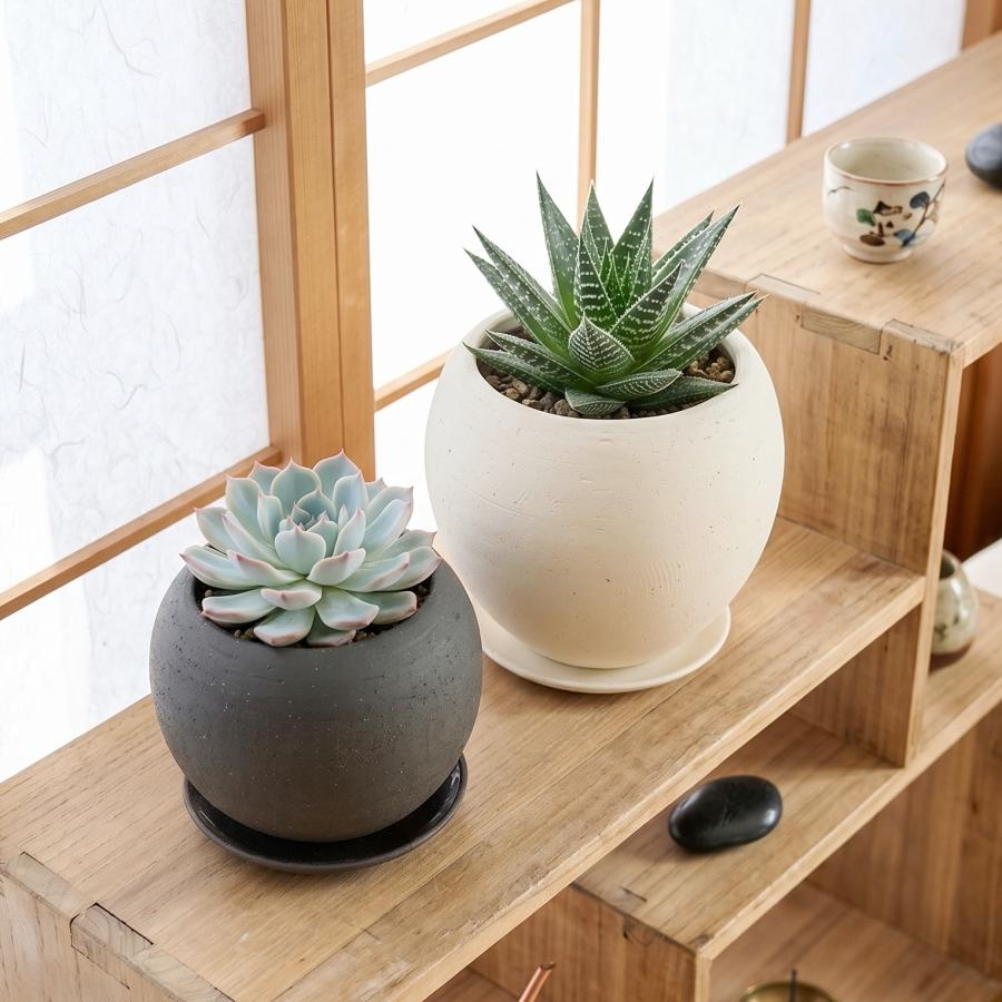 植木鉢 おしゃれ 陶器鉢 エッジボールL(2色) 16cm 5号 受け皿付 白 黒