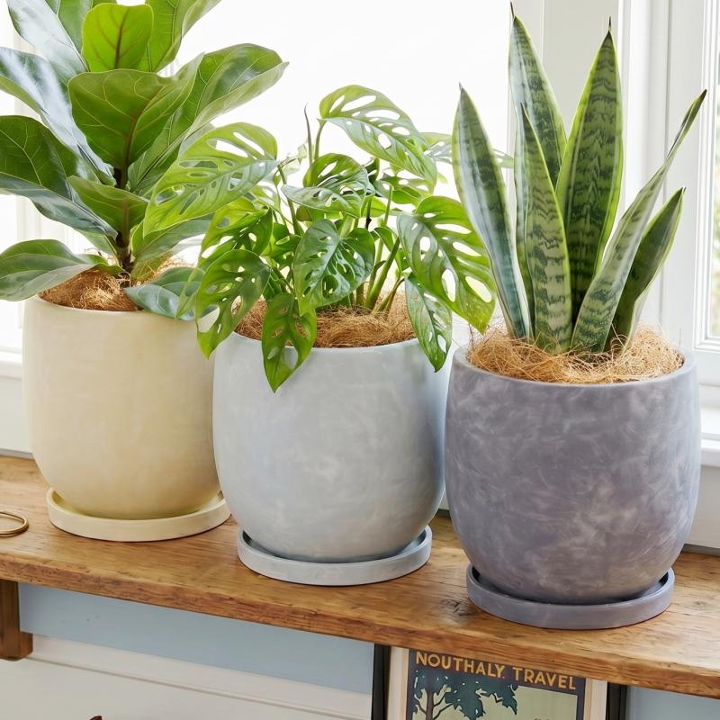 植木鉢 おしゃれ 陶器鉢 アイルエッグL 27cm 9号 穴あり 受け皿あり