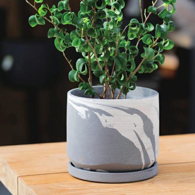 植木鉢 おしゃれ 陶器鉢 シエララウンドS(2色) 10cm 3号 穴あり 受け皿
