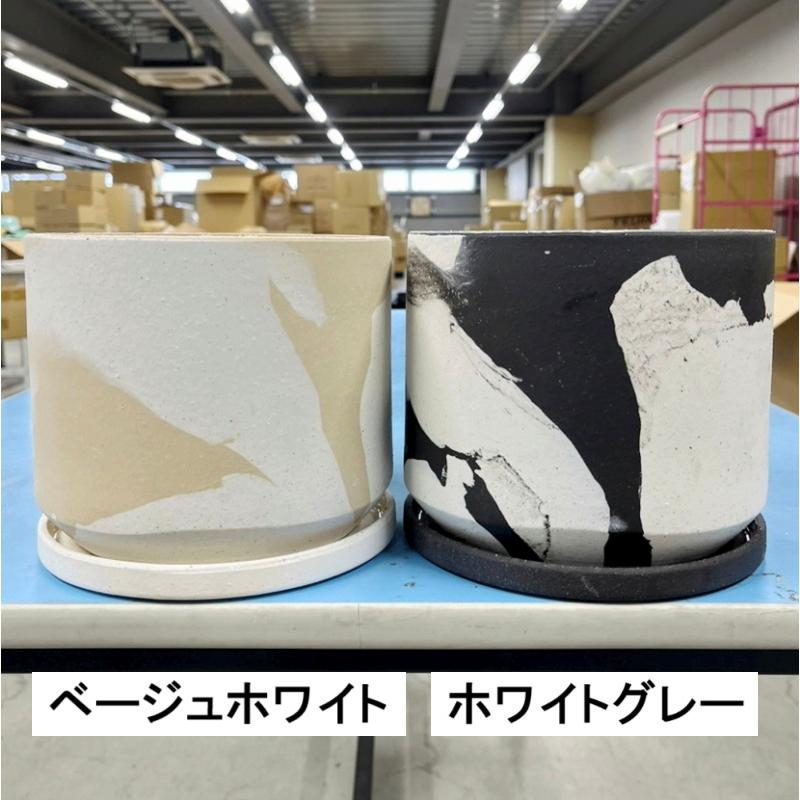 陶器製ラウンド型鉢 クリーム色　周寶山　未使用 植木鉢 おしゃれ 陶器鉢 シエララウンドL(2色) 18cm 6号 穴あり 受け皿
