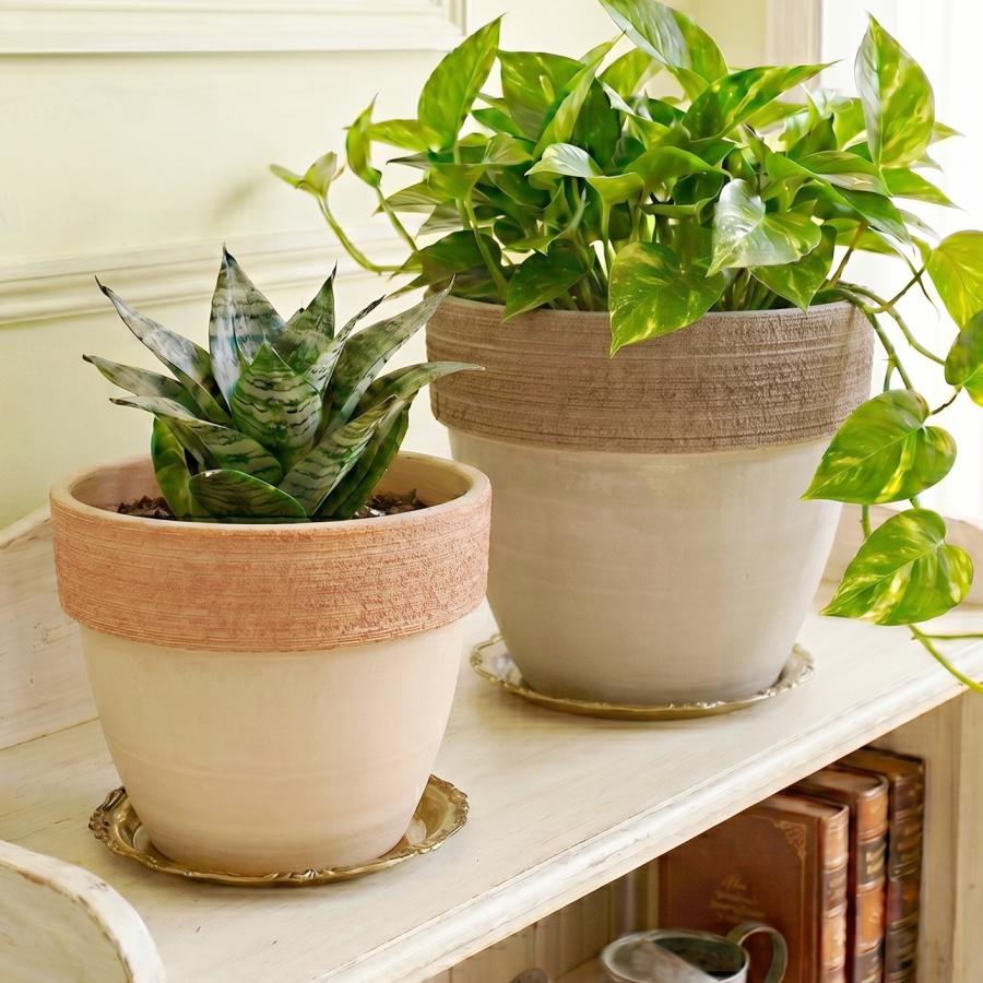 植木鉢 おしゃれ テラコッタ スクラッチジオポットL 30cm 10号 底穴